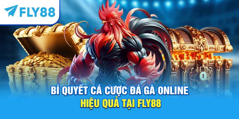 Cá Cược Đá Gà Online – Hướng Dẫn Chơi, Kinh Nghiệm Thắng Lớn 5 Bí quyết cá cược đá gà online hiệu quả tại Fly88