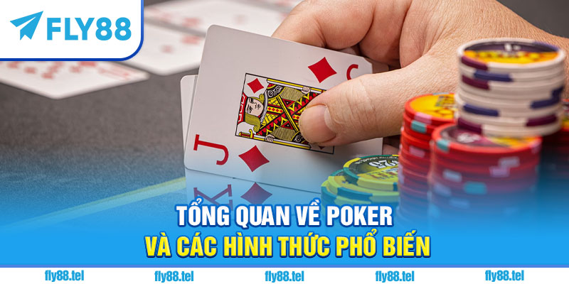 Cách Chơi Poker Trên Fly88: Hướng Dẫn Chi Tiết Và Kinh Nghiệm 6 Tổng quan về poker và các hình thức phổ biến